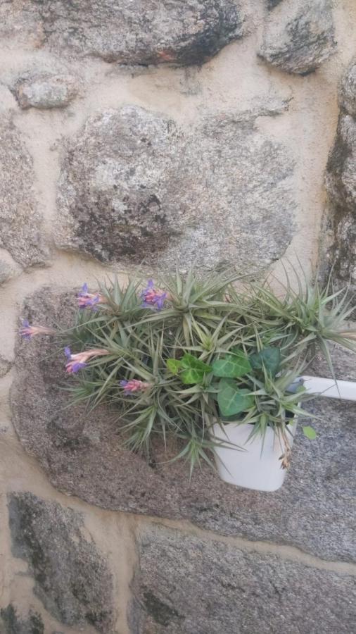 Vivienda Con Terraza En Playas De Baiona 아파트 외부 사진